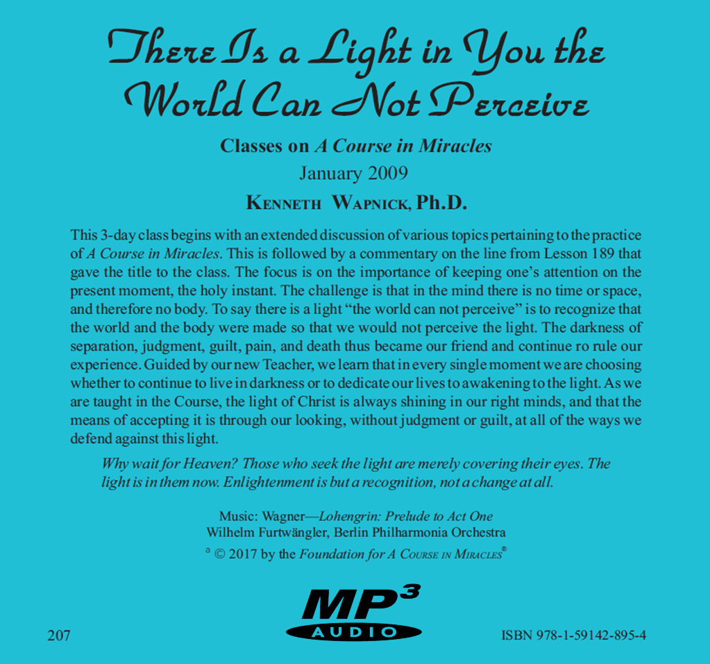 There Is a Light in You the World Can Not Perceive [MP3]