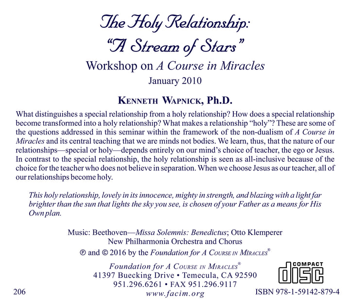 The Holy Relationship: A Stream of Stars [CD]