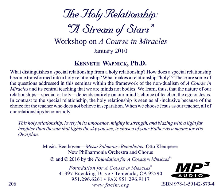 The Holy Relationship: A Stream of Stars [MP3]